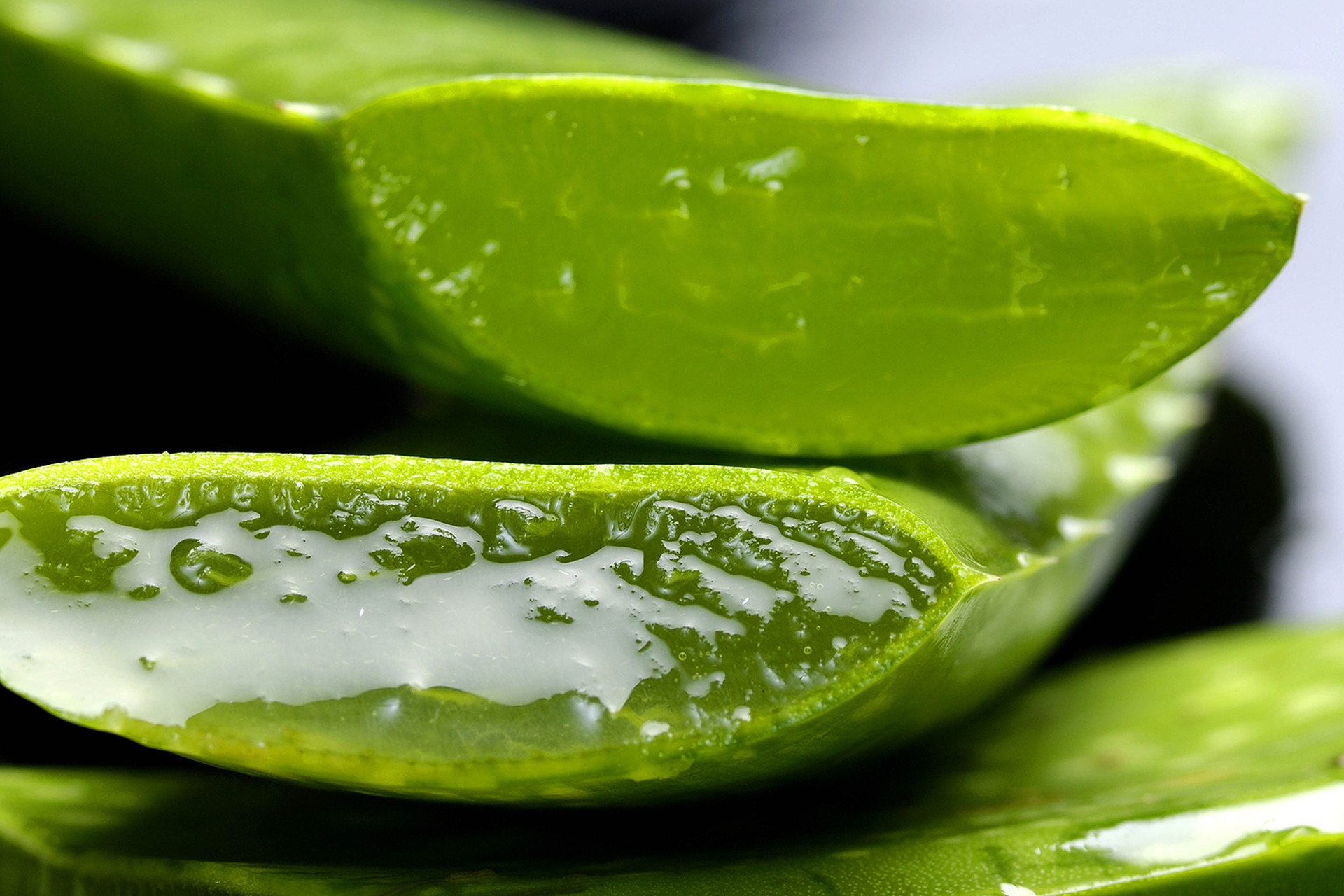 Relieve It With A Herb: Aloe Vera For Canker Sores